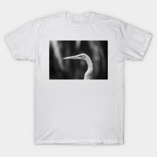 Common black and white Egret T-Shirt